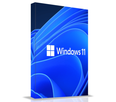 Windows 11 Professional 64-bit English 1PK DSP DVD