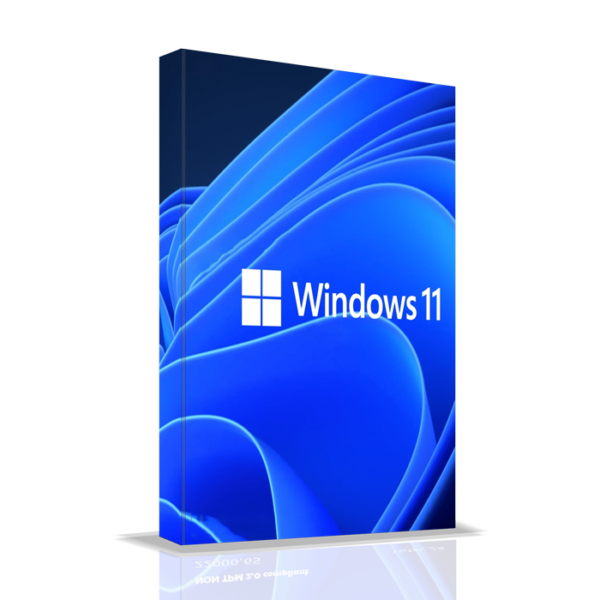 Windows 11 Professional 64-bit English 1PK DSP DVD