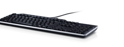 DELL US/EURO (QWERTY) DELL KB-522 WIRED BUSIN
