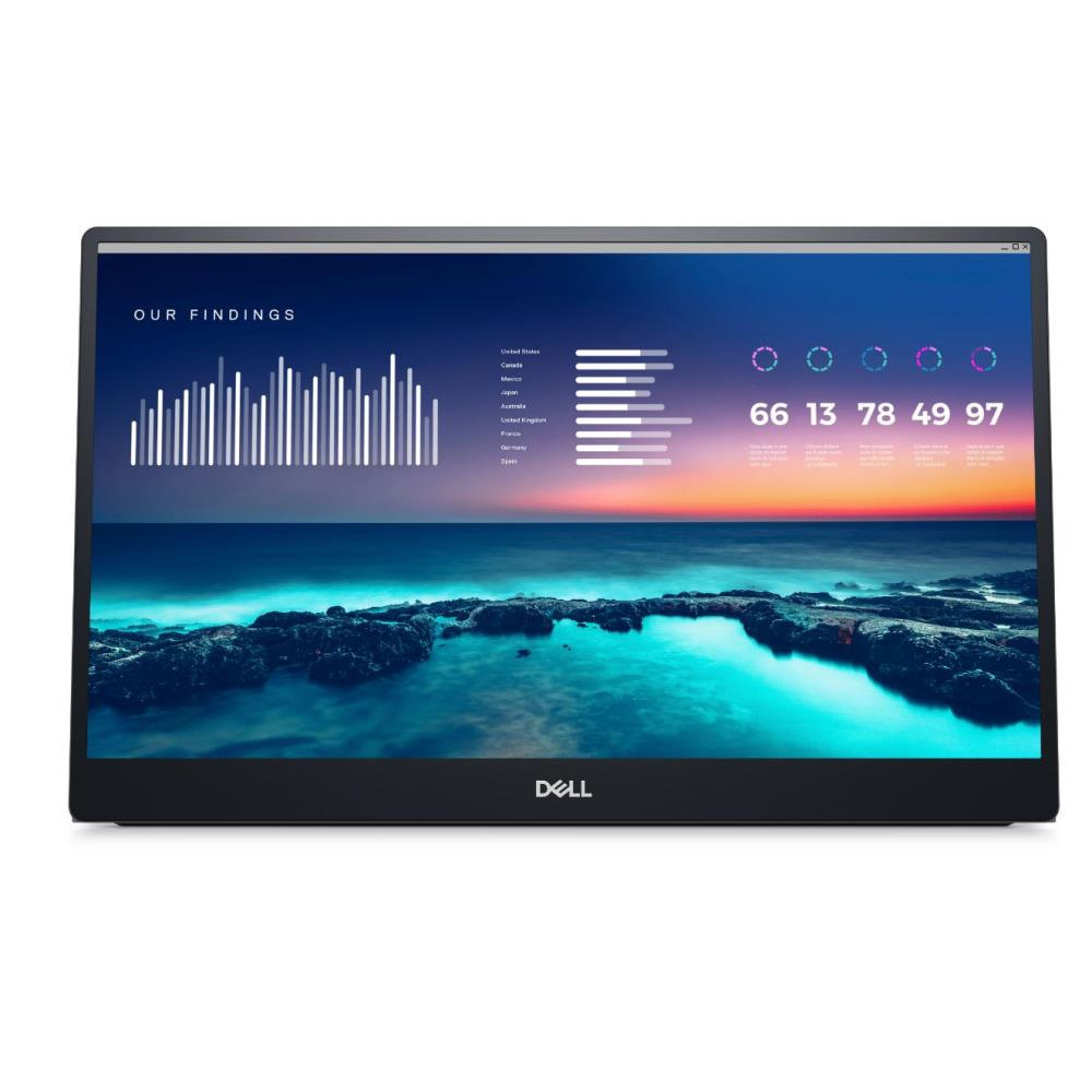 DELL 14 PORTABLE MONITOR