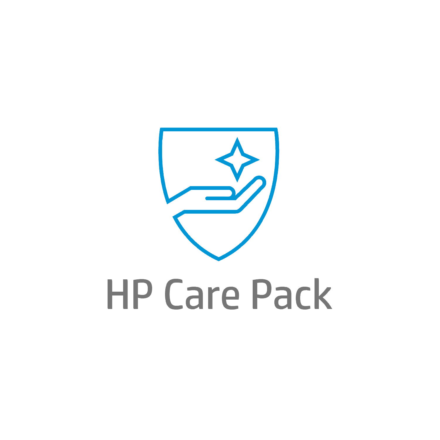 HP 4Y NBD ADVANEX LG DISPLAY HW SUPPORT