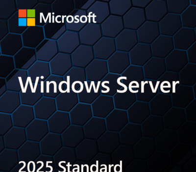 MICROSOFT WINDOWS SEVER STANDARD 2025 64BIT DSP 24 CORE