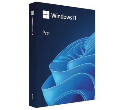 Microsoft Windows 11 Professional Single-User DVD License