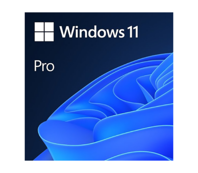 Microsoft Windows 11 Professional Single-User ESD License