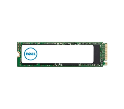 Dell 480GB M.2 6Gbps SATA Server SSD