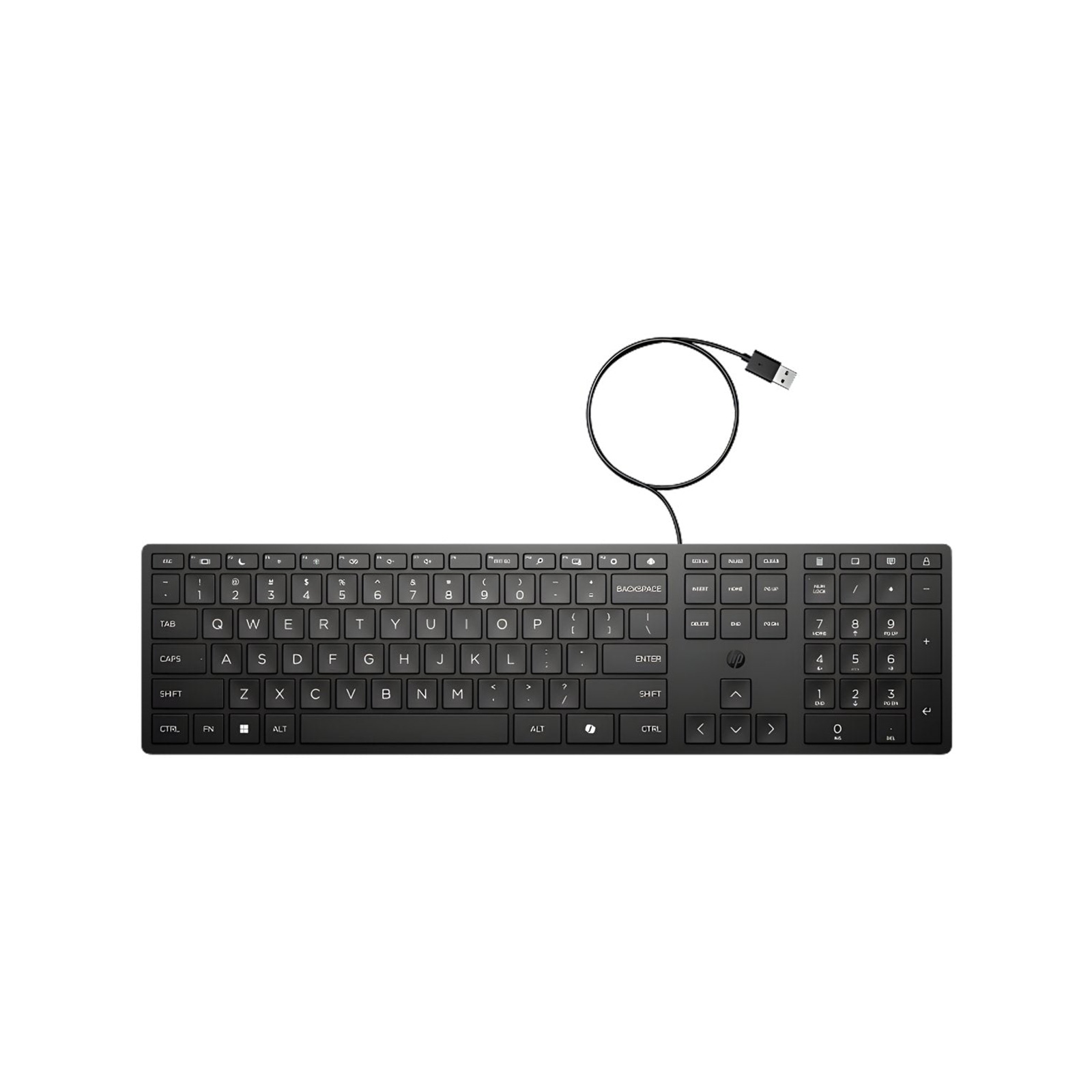 HP 320K USB Wired Desktop Black Keyboard